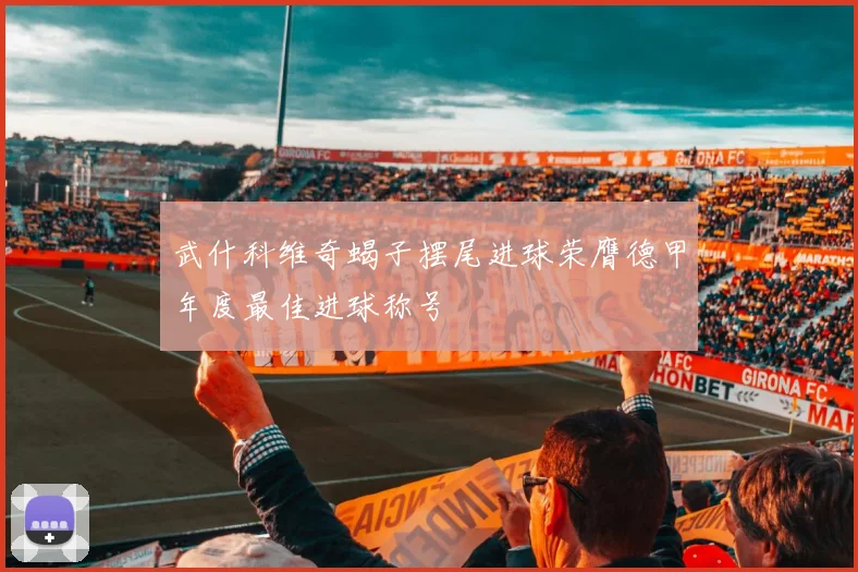 武什科维奇蝎子摆尾进球荣膺德甲年度最佳进球称号