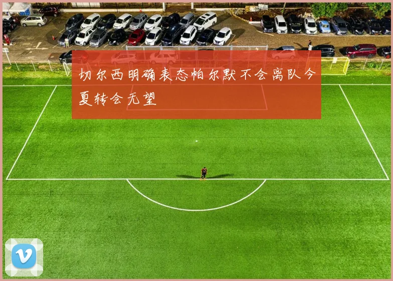 切尔西明确表态帕尔默不会离队今夏转会无望